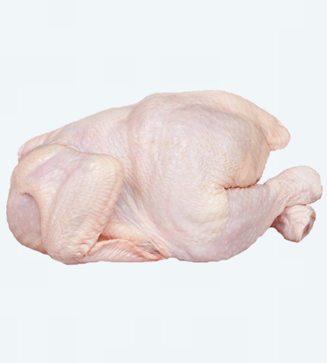 Poulet de chair