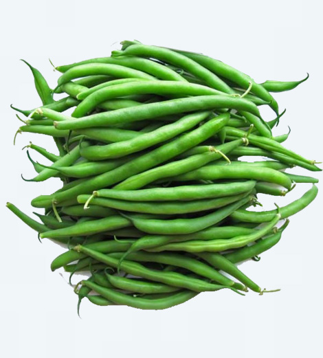 Haricot Vert