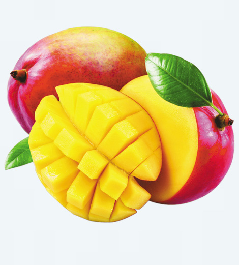 Mangue