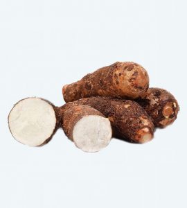 Manioc