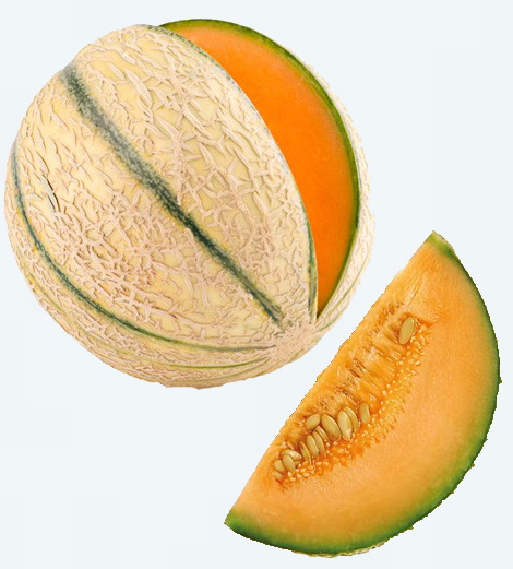 Melon