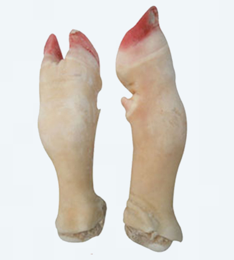 Pattes de bœuf
