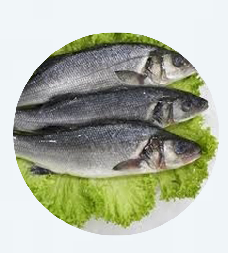 Poisson sosso americain