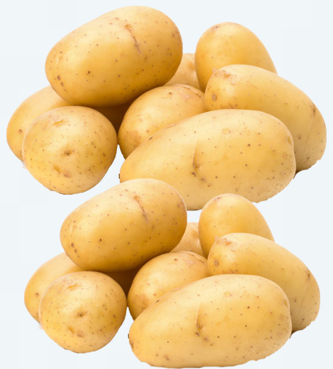 Pomme de terre
